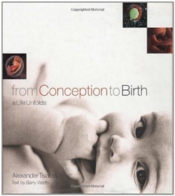 From Conception To Birth